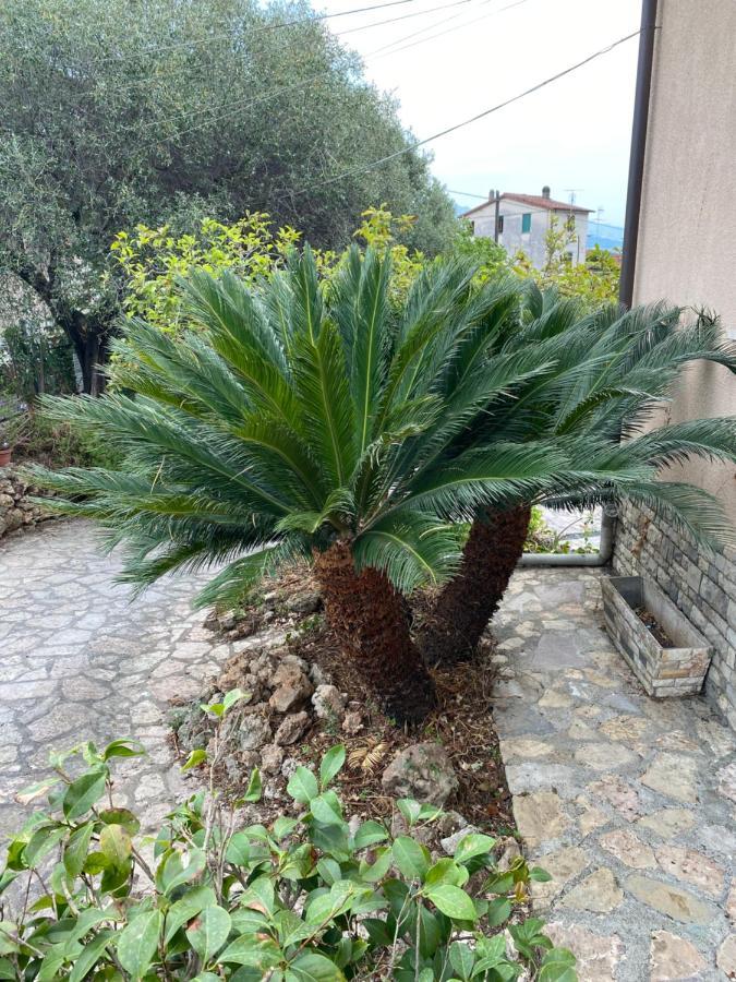 Il Giardino Delle Cycas Apartment Romito Magra ภายนอก รูปภาพ